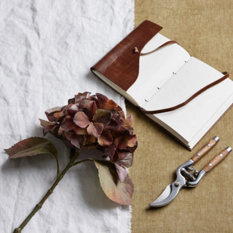 Image of Mixed Autumn Browns Single Hydrangea Stem