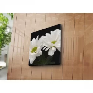 Image of 4545NAT-33 Multicolor Decorative Canvas Painting