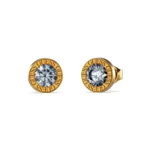 Image of Ladies Guess Jewellery Color My Day Earrings