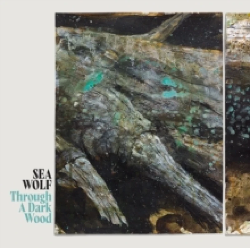Image of Through a Dark Wood (Deluxe Edition) Vinyl