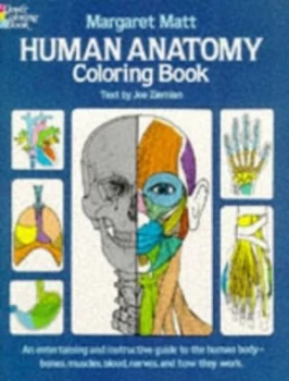 Image of Human Anatomy Coloring Book by Margaret Matt Paperback