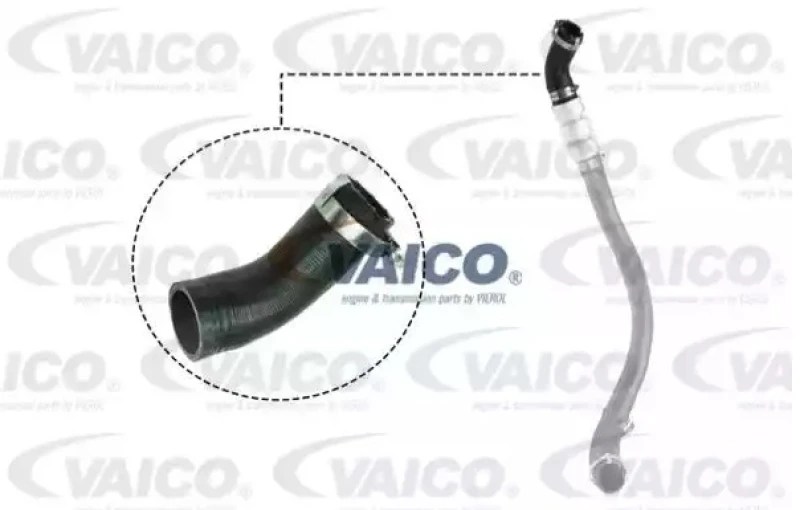 Image of Charger intake hose VAICO V25-1037