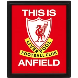 Image of Liverpool FC Framed 3D Picture