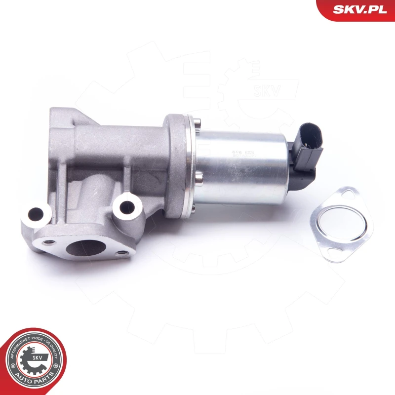 Image of ESEN SKV EGR valve ESEN SKV 14SKV105