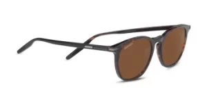 Serengeti Sunglasses Arlie 8937