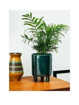 image of Ivyline Pisa Emerald Planter