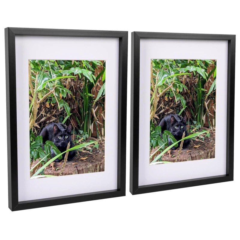 Image of Nicola Spring 3D Box Photo Frames with A4 Mounts - A3 (12" x 17") - White Mount - Pack of 2 in Black Unisex