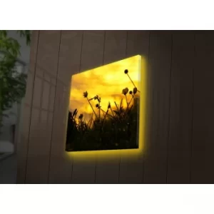 Image of 4040DACT-52 Multicolor Decorative LED Lighted Canvas Painting