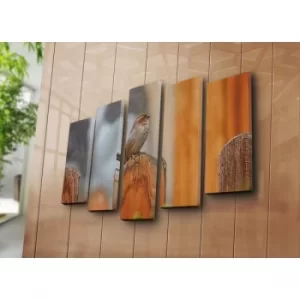 Image of 5NATPAT-3 Multicolor Decorative Canvas Painting (5 Pieces)