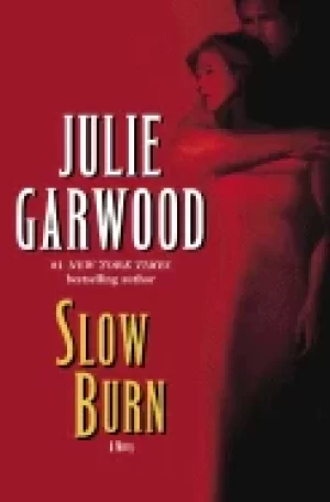 Image of slow burn a novel