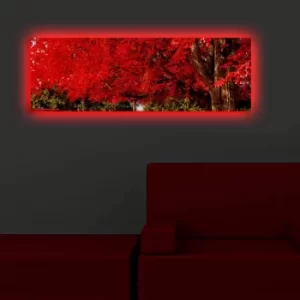 Image of 3090DACT-35 Multicolor Decorative LED Lighted Canvas Painting
