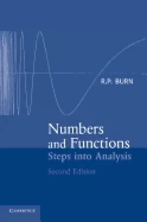 Image of numbers and functions steps into analysis