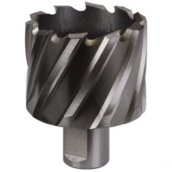 Image of Worksafe RBHSS49S Rotabor Cutter HSS Ø49mm - Cut Depth 25mm
