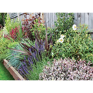 Image of Garden On A Roll Wildlife Border Pack 10m x 60cm Plants