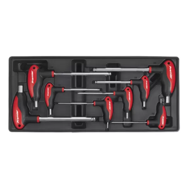 image of Sealey TBT06 Tool Tray with T-Handle Ball-End Hex Key Set 8pc