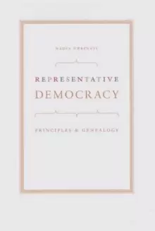 Image of Representative Democracy