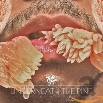 Image of Toro Y Moi - Underneath The Pine CD