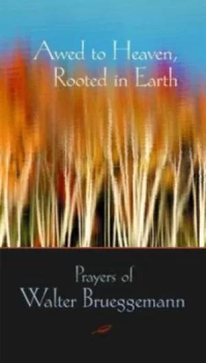 Image of Awed to heaven rooted in earth by Walter Brueggemann