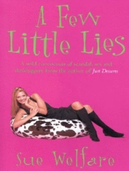 Image of A Few Little Lies by Sue Welfare Book