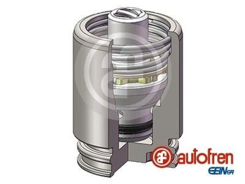 Image of AUTOFREN SEINSA Brake caliper piston AUTOFREN SEINSA D025251K