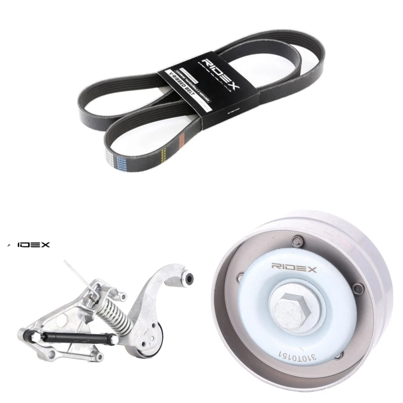 Image of RIDEX 542R0160 V-ribbed belt set V-Ribbed Belt Set (542)