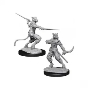 image of D&D Nolzur's Marvelous Unpainted Miniatures (W7) Male Tabaxi Rogue