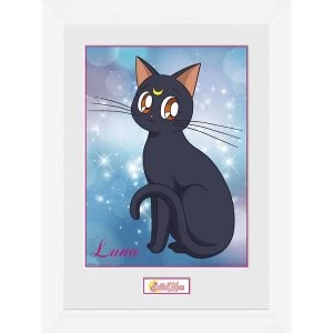 image of Sailor Moon Luna Collector Print