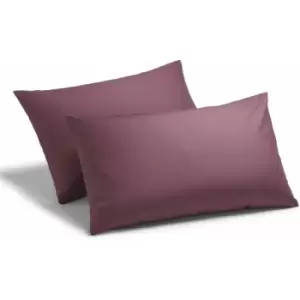 image of Charlotte Thomas - Poetry Plain Dye 144 Thread Count Combed Yarns Aubergine Housewife Pillowcase Pair - Purple