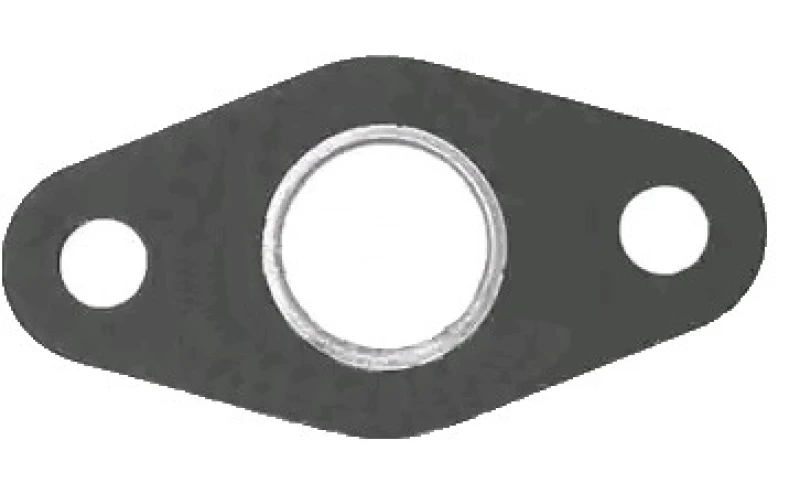 Image of Exhaust pipe gasket VEGAZ TD-121