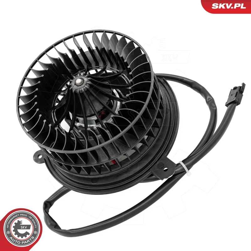 Image of ESEN SKV Blower motor ESEN SKV 68SKV247