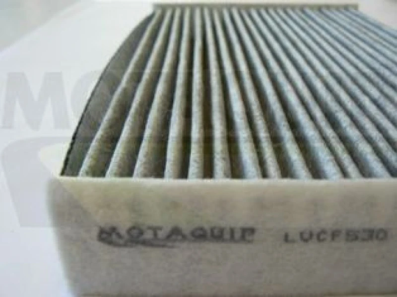 Image of MOTAQUIP Pollen filter MOTAQUIP LVCF530