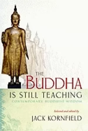 Image of buddha is still teaching contemporary buddhist wisdom