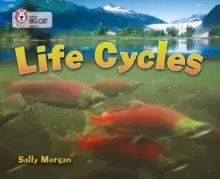 Image of Life Cycles : Band 16/Sapphire