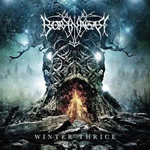 image of Winter Thrice by Borknagar CD Album