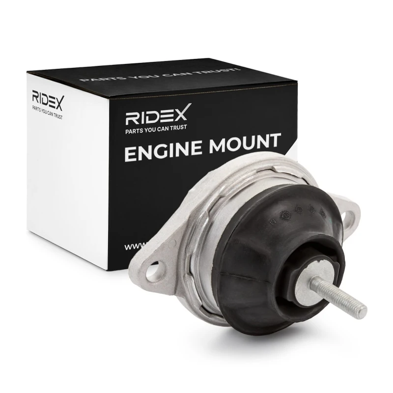 Image of Engine mount RIDEX 247E0341