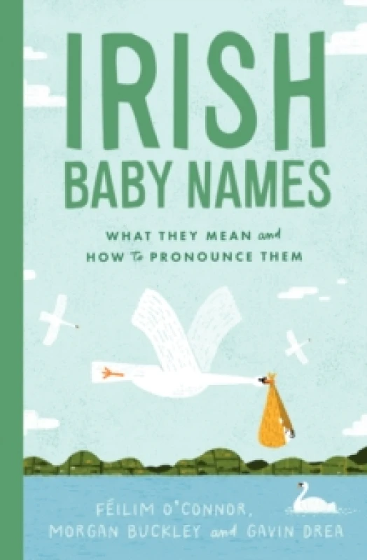 Image of Irish Baby Names : What they mean and how to pronounce them Hardback