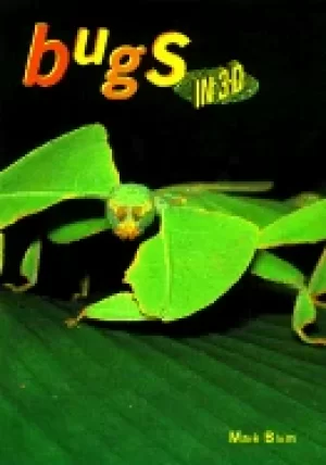 Image of bugs in 3 d