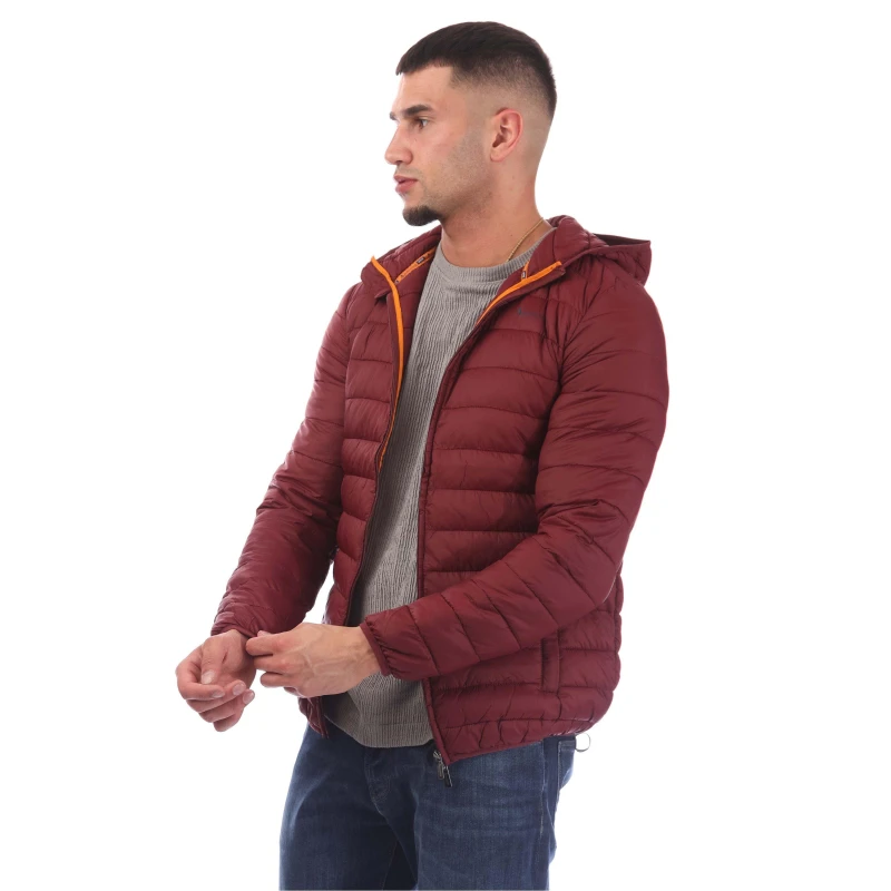 Image of Aquascutum Mens Hooded Hip Length Long Sleeve Medium Puffer Jacket Bordeaux male Small