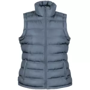 Image of Result Ladies/Womens Ice Bird Padded Bodywarmer / Gilet Jacket (L) (Frost Grey)