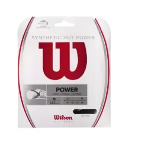 image of Wilson Synthetic Gut 16G - Clear