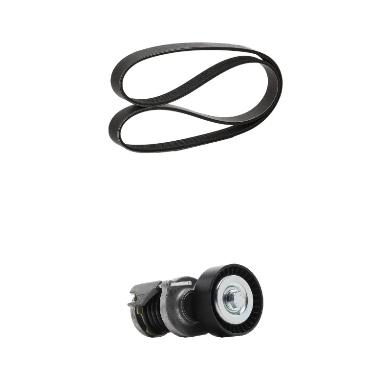 Image of goCORE GCE420062 V-ribbed belt set V-Ribbed Belt Set (542)