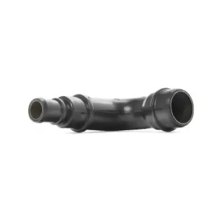 Image of RIDEX Crankcase Breather VW,AUDI,SKODA 1600H0006 6A103213F,6A103213F Crankcase Ventilation,Hose, crankcase breather