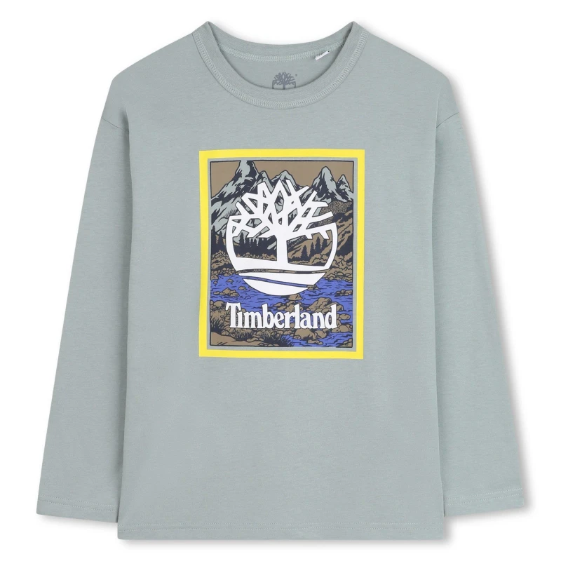 Image of Timberland Kids Timb Logo Long Sleeve T-Shirt Grey male 12 Years