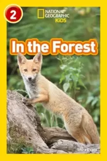 Image of In the Forest : Level 2