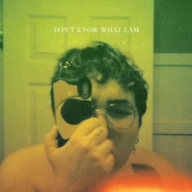 Image of Don't know what I am Vinyl