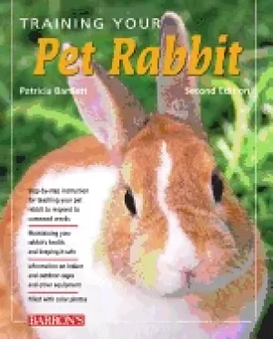 Image of training your pet rabbit