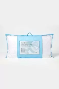 Image of King Size Ultraplume Bolster Feather Pillow with Pillowcase