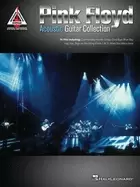 Image of pink floyd acoustic guitar collection