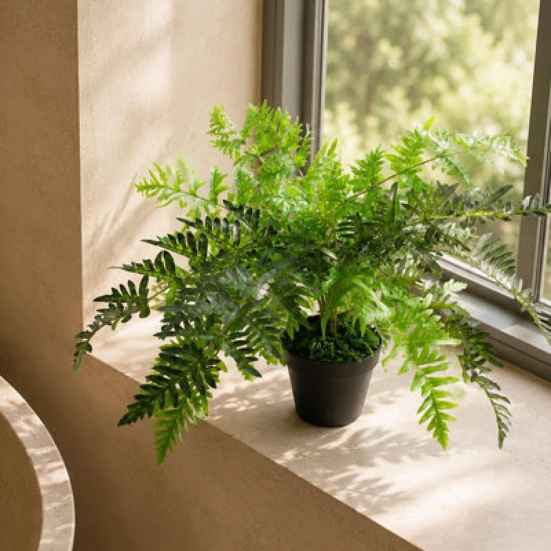 Image of Leaf 50cm Luxury Artificial Evergreen Fern Plant Green unisex