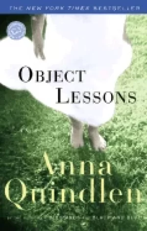Image of object lessons a novel